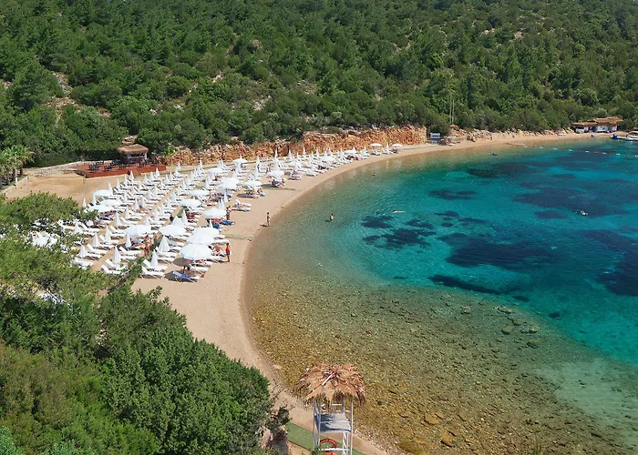 Bodrum Park Yaliciftlik