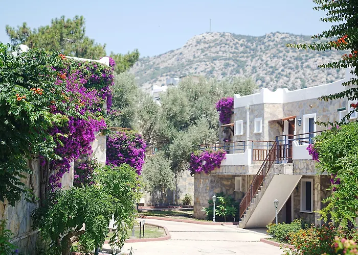 Resort Bodrum Park 4*